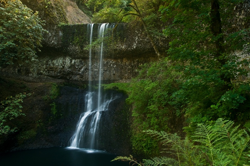 Lower South Falls, Silver Falls SP - ID: 9003013 © Denny E. Barnes