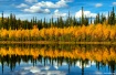 Alaska Fall