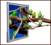 Framed Parakeets