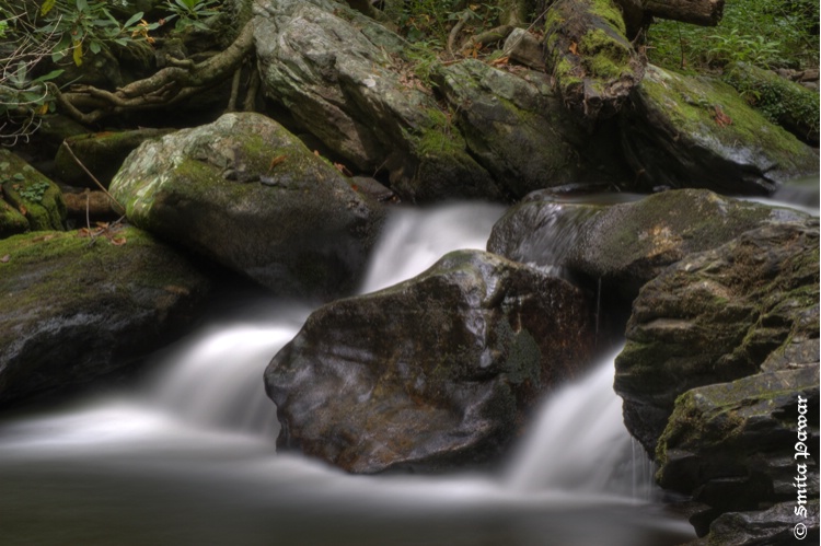 Lower part of Anna Ruby Falls