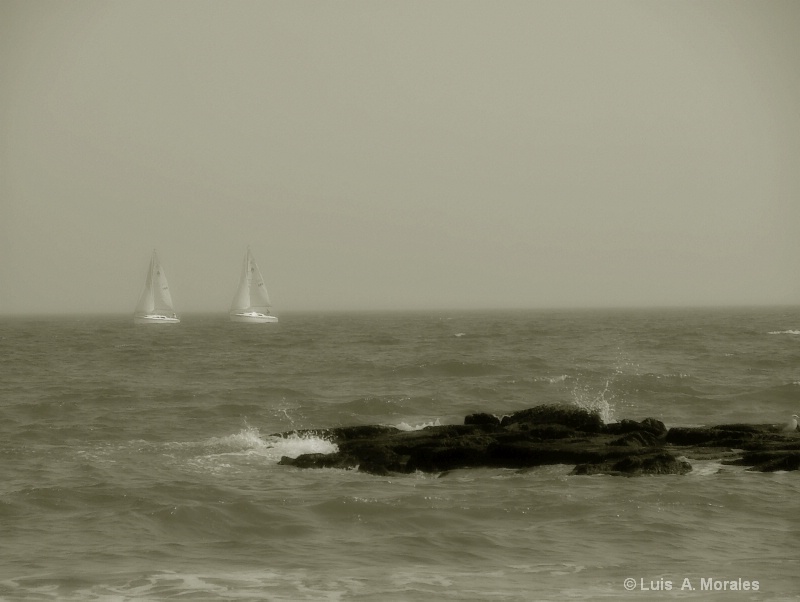 White Sails - ID: 9010140 © Luis A. Morales