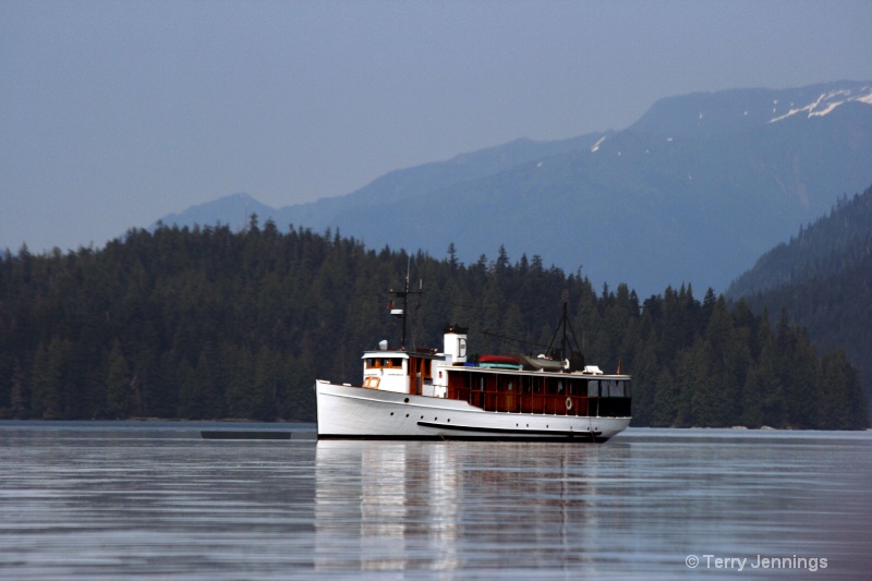 M/V Discovery - ID: 9024944 © Terry Jennings