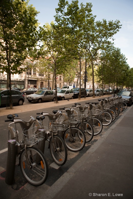 Velib' - Paris Rental Bikes - ID: 9033256 © Sharon E. Lowe