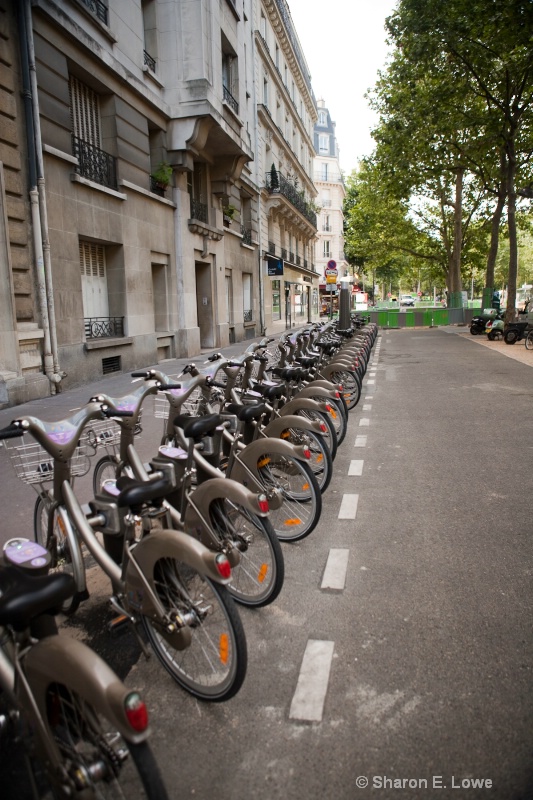 Velib' - Paris Rental Bikes - ID: 9033259 © Sharon E. Lowe