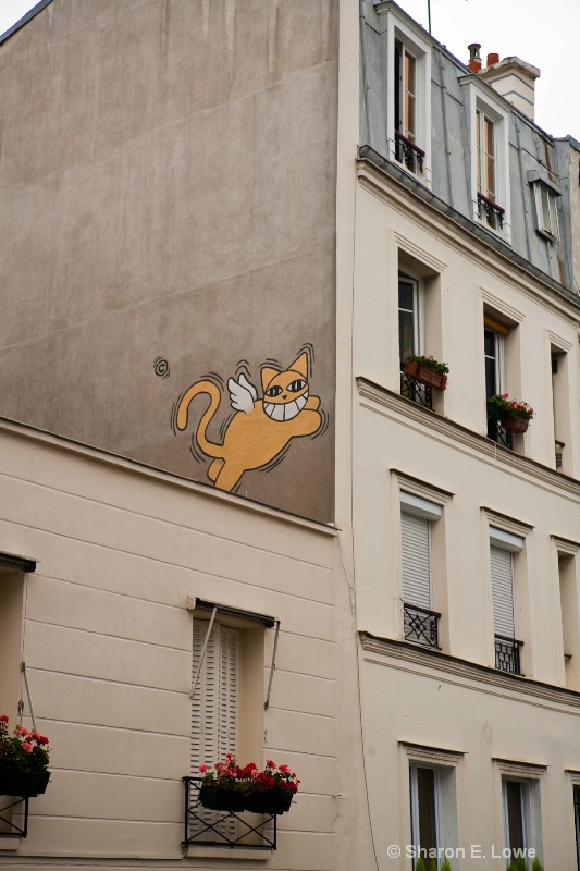 Painted cat, Montmarte, Paris