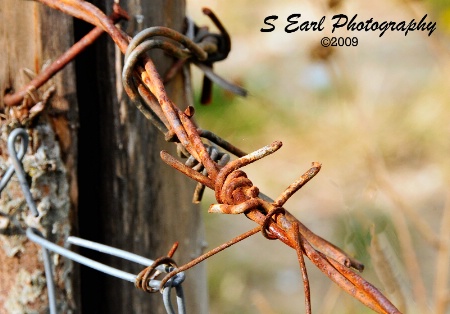 Barbed Wire Fence@@Mavrovo, Macedonia