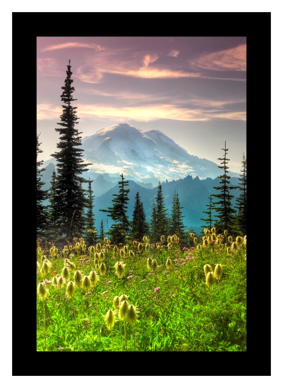 Crest Trail View - Mt. Rainier - ID: 9035428 © John E. Hunter