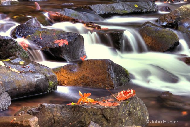 Columbia Gorge Fall Image - ID: 9035731 © John E. Hunter