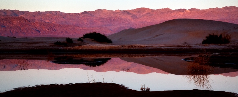 Desert Morning Reflections