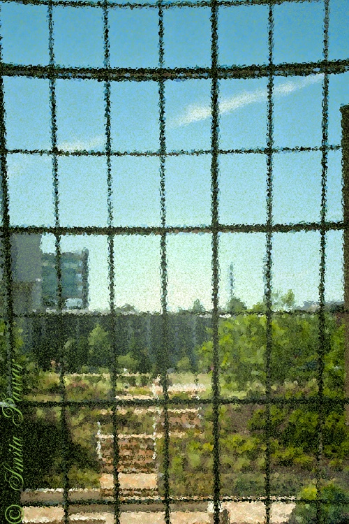 Looking through the frosted Glass