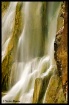 Pigeons & Falls