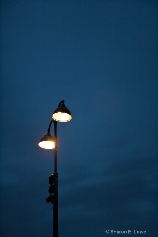 Streetlamp, Paris - ID: 9043249 © Sharon E. Lowe