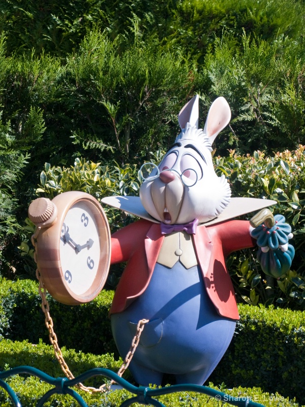 The rabbit, Alice's Curious Labyrinth, Disneyl - ID: 9043517 © Sharon E. Lowe