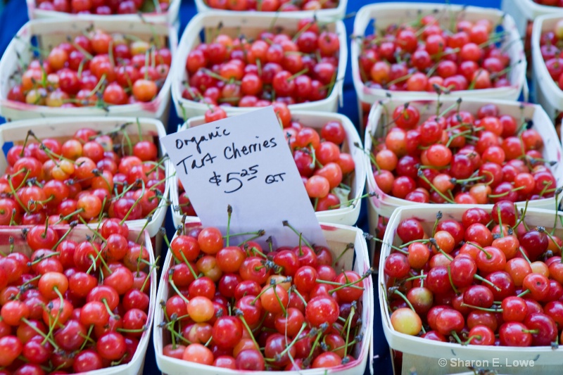 Tart Cherries, Brattleboro Farmers Market, Brattle