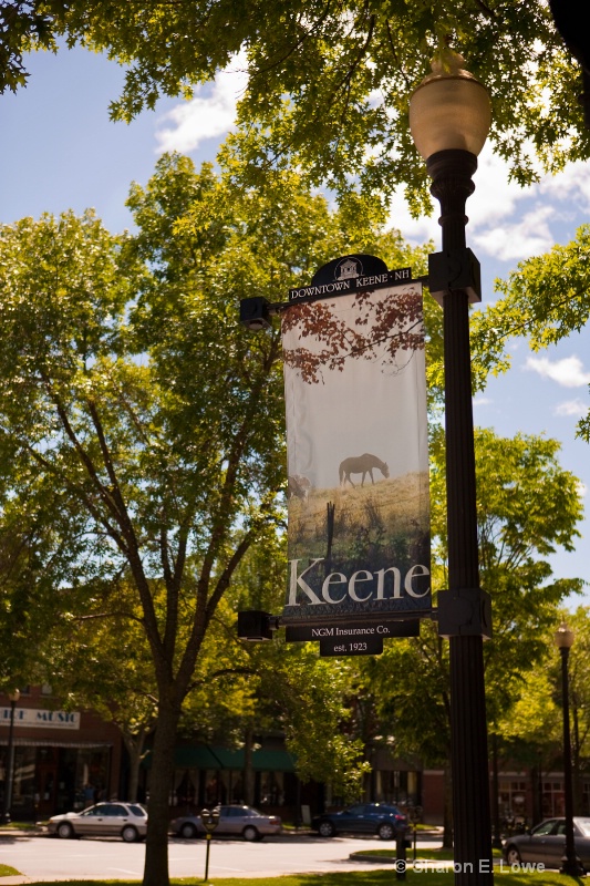 Keene, NH sign - ID: 9045624 © Sharon E. Lowe