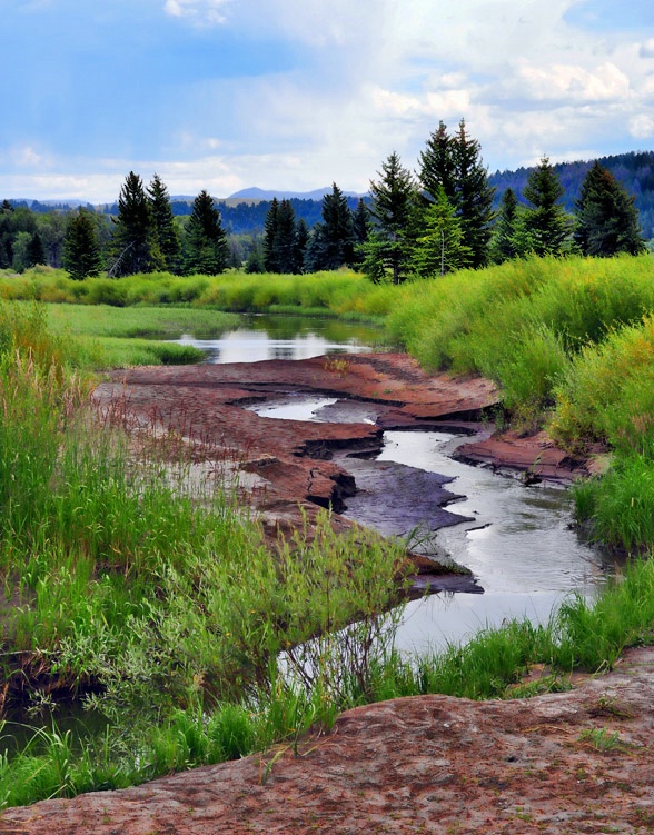 watery path