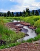 watery path