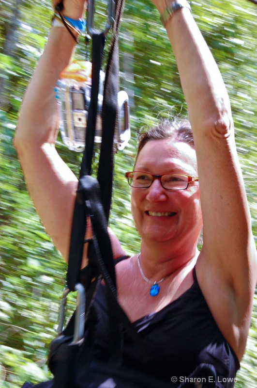 Sharon on the zip line at Hidden Worlds - ID: 9052380 © Sharon E. Lowe