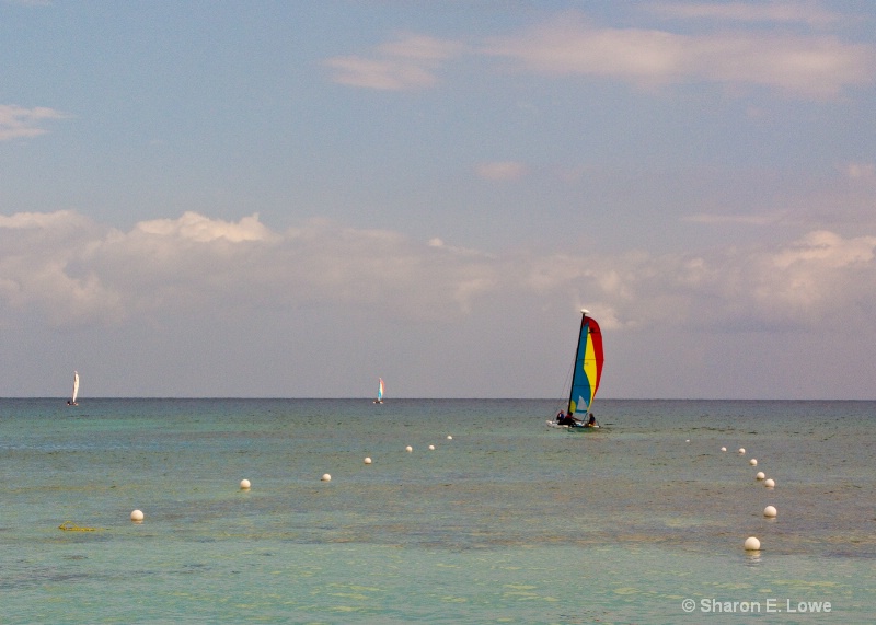 Sailing, Dreams Puerto Aventuras - ID: 9052465 © Sharon E. Lowe