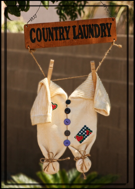 ~ Country Laundry ~ - ID: 9057256 © Trudy L. Smuin