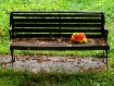Party Bench