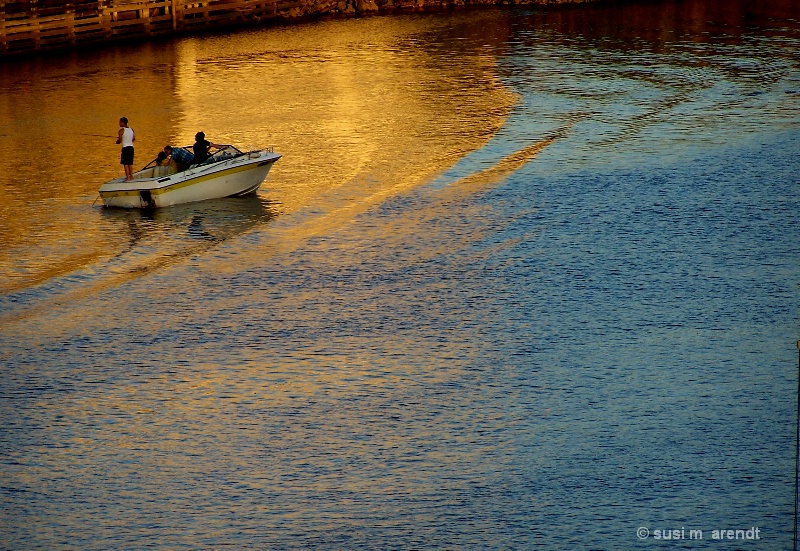 Gold and Blue Duwamish