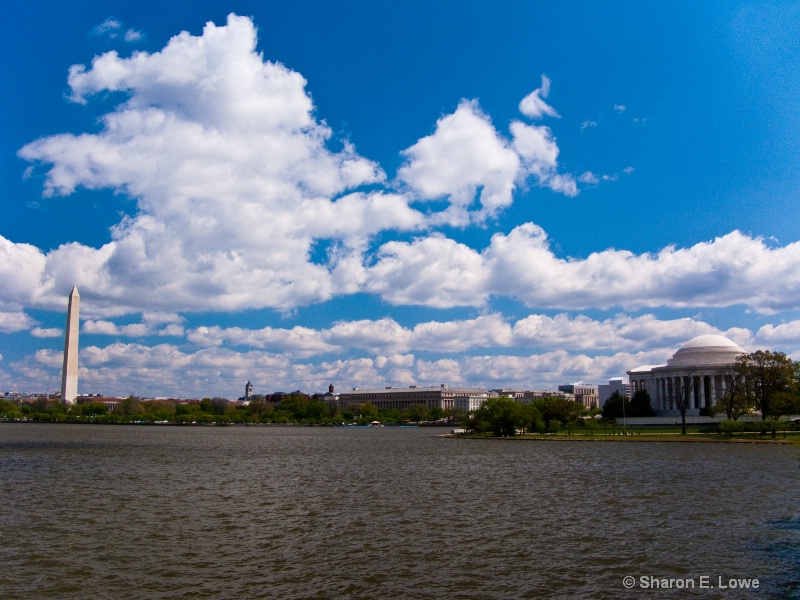 View of Washington Monument and Jefferson Memorial - ID: 9060701 © Sharon E. Lowe