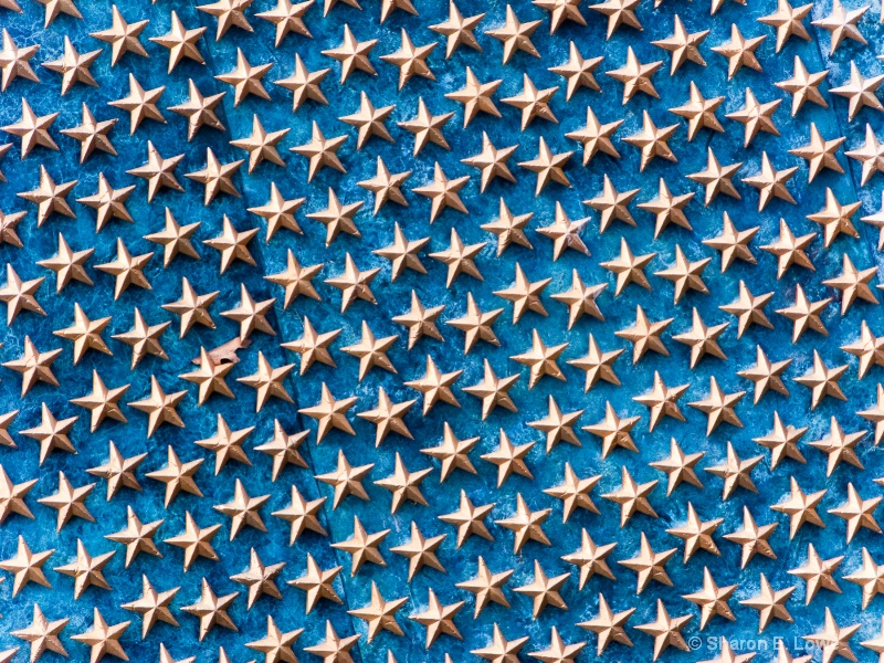 Field of Stars, World War II Memorial,   Washingto - ID: 9060707 © Sharon E. Lowe