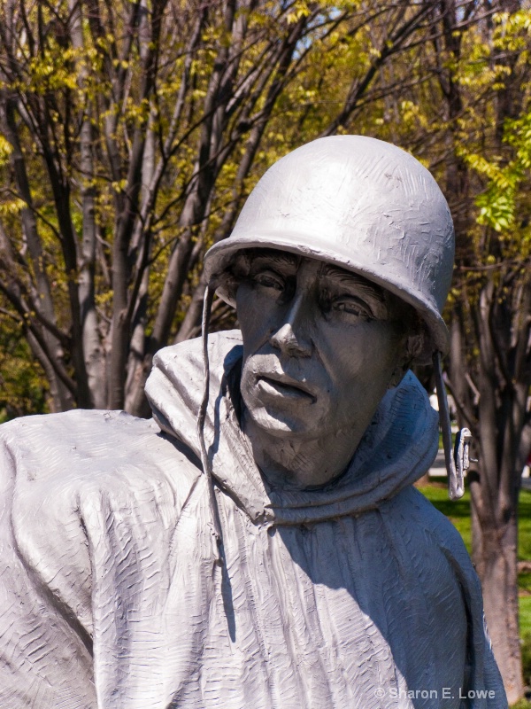 Details, Korean War Memorial,   Washington, DC - ID: 9060709 © Sharon E. Lowe