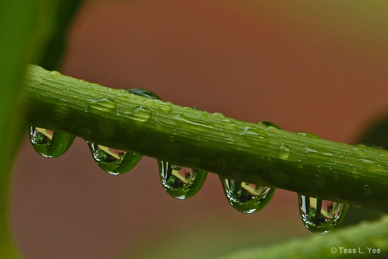 After the Rain