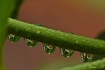 After the Rain