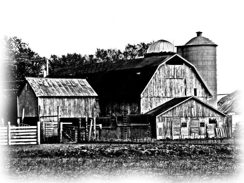 Buffalo Barn Classic - ID: 9070162 © John M. Hassler