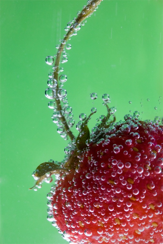 Strawberry Fizz - ID: 9073235 © Vicki Tillard