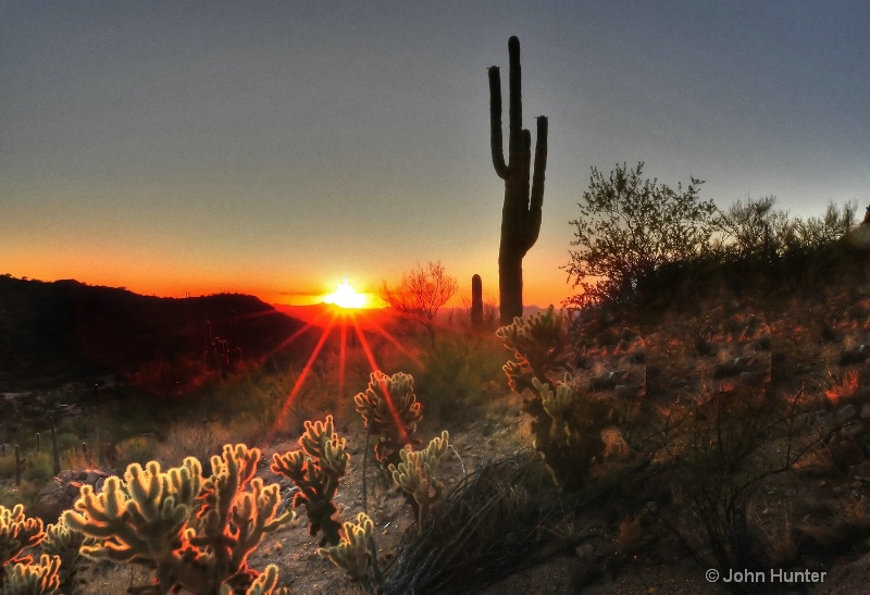 Sunset at Saguaro National Park - Tucson, Arizona - ID: 9079290 © John E. Hunter