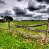 © Elliot Barnathan PhotoID# 9086102: Brandywine 11