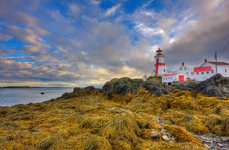 East Quoddy Head Light