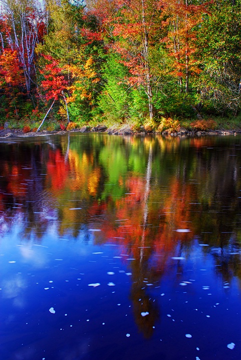 Autumn Reflections - ID: 9091738 © Eric Highfield