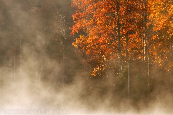 Autumn Morning