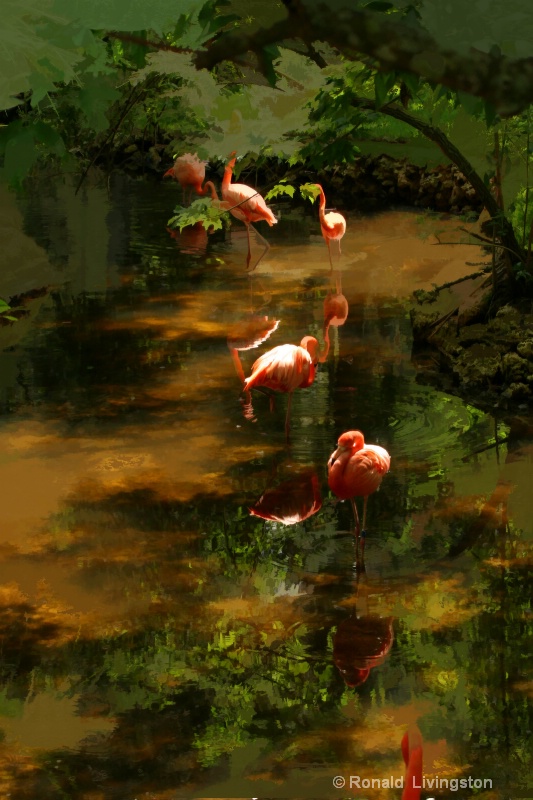 Flamingo Fun - ID: 9096912 © Ron Livingston