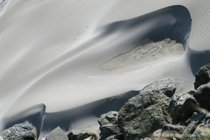Wind and Sand, Oregon Coast - ID: 9101755 © Sue P. Stendebach