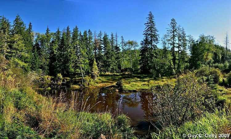 Hoko River Basin Panorama