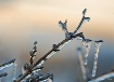 Frozen in Time