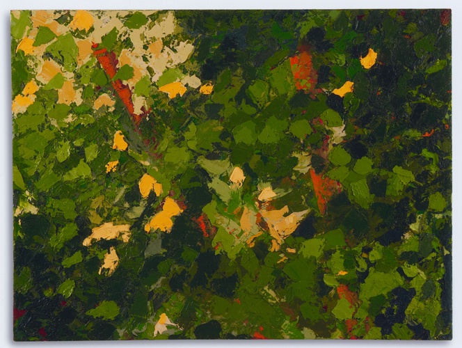 Untitled  4' x 3' - ID: 9103428 © June  R. Blanco 