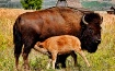 a mothers respons...