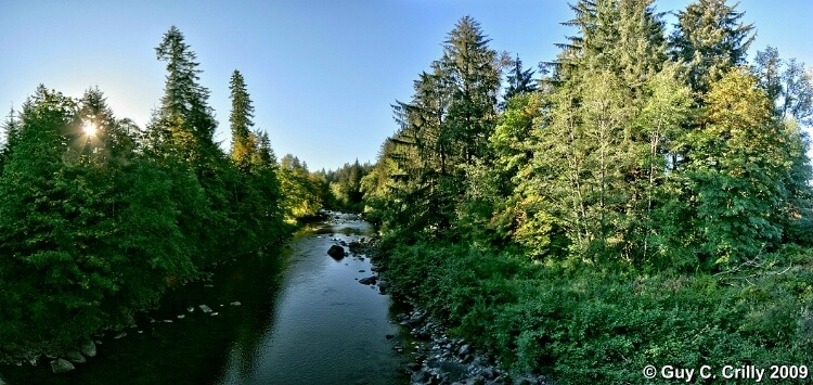 Sol Duc River Panorama