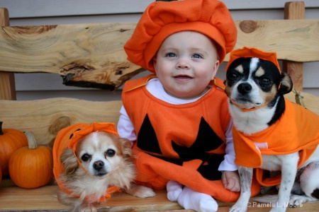 My 3 lil pumpkin grandkids