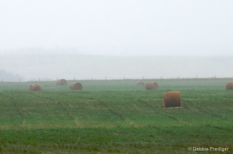 Mist over the hay field