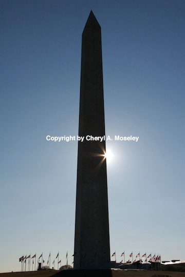 sun- mg 9185 - ID: 9116865 © Cheryl  A. Moseley
