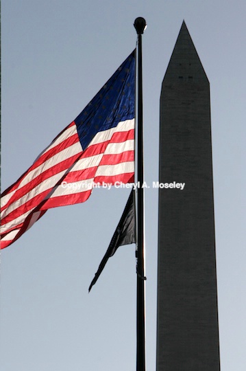 us flag   wash memorial- mg 91 - ID: 9116870 © Cheryl  A. Moseley