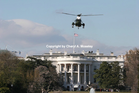 white house marine 1 south -im - ID: 9116881 © Cheryl  A. Moseley